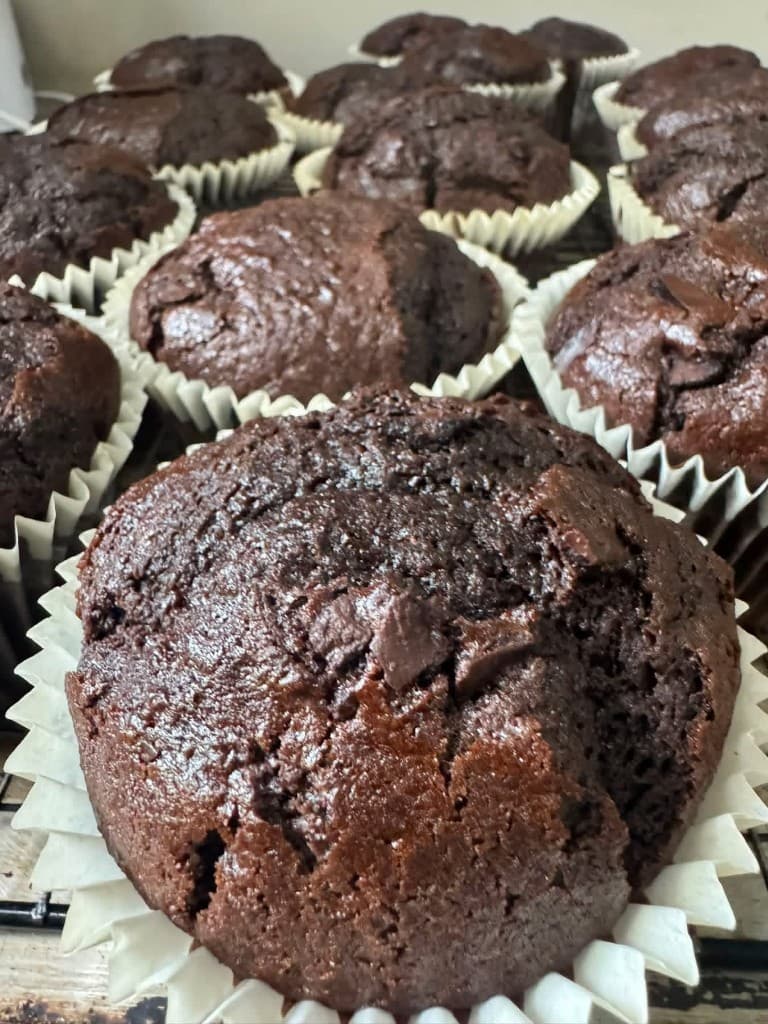 Freshly baked dark chocolate muffins with chocolate chips